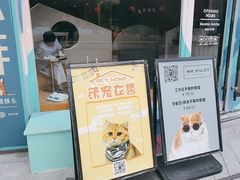 -飞行喵MR PILOT|猫舍·猫咖(静安大融城店)