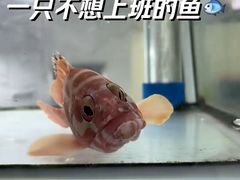 -南园酒家(前进路店)
