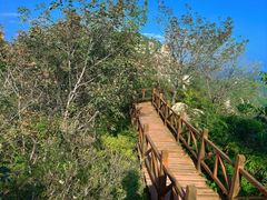 -大岭沟猕猴桃谷风景区