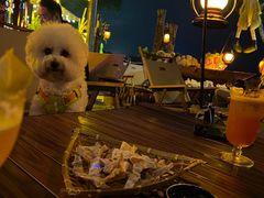 -城墙外BAR