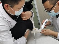 -狗舍宠物医院(四季商业广场店)