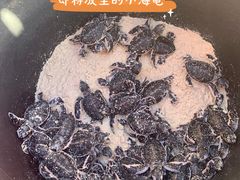 -马达京岛