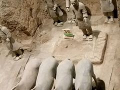 -骏途旅游