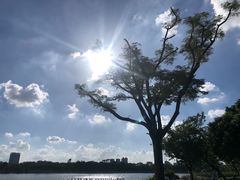 -顺峰山公园