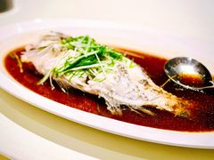 清蒸青衣鱼-皇朝会.经典传统粤菜(外滩店)