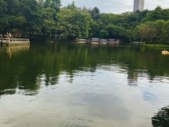 -晓港公园