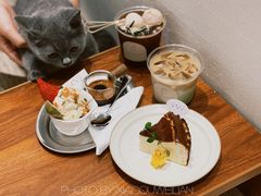 -洞见INSIGHT COFFEE