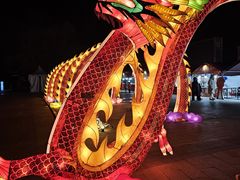 -北京国际鲜花港