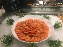 海虾-宁波逸东豪生大酒店·豪生咖啡厅