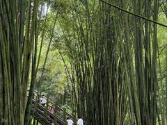 -凤栖山
