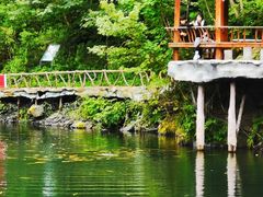 -凤凰山国家森林公园