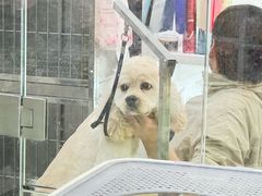 -它主义宠物(梁溪万达店)