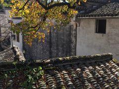 -塔川景区