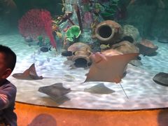 -沈阳海洋探索中心