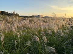 -迪士尼小镇
