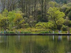 -玉渡山自然风景区