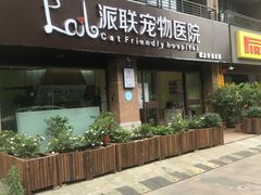 -派联宠物医院·24h·CT·异宠