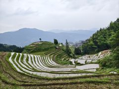 -龙脊梯田