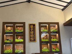 -菌自由丨野生菌火锅特色庭院餐厅(丽江古城店)