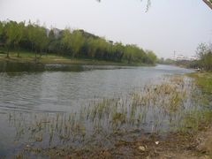-新江湾城公园