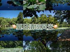 -颐和园