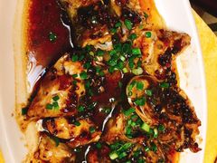 -鸽王世家(东华东路店)