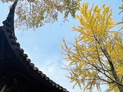 -拙政园