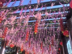 -沂蒙山旅游区龟蒙景区