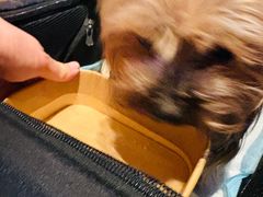 -Grande A'moo(上海万象城店)