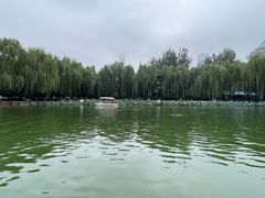 -团结湖公园