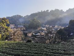 -杨家堂村