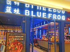 -bluefrog蓝蛙(新三里屯太古里店)