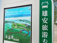 -白洋淀景区