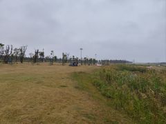 -春花秋色城市公园