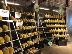 -都念榴莲·城市榴莲