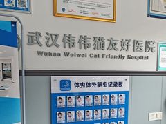 -伟伟宠物医院·瑞派猫友好医院·猫科(光谷店)