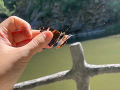 -灵溪风景区