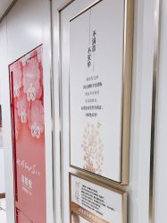-镁连社·美联社