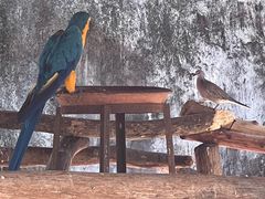 -清迈夜间动物园