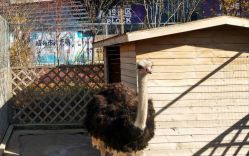 -萌宠亲子动物乐园(槐房万达店)