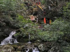 -大围山国家森林公园