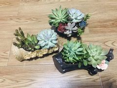 -绿韵花艺鲜花店(解放南路店)