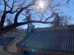 -潭柘寺景区