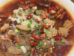精品毛血旺-东口码头·烧鸽子·鱼头泡饼·地方菜(金鹰悦城店)