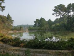 -铁山坪森林公园