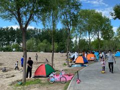 -东郊湿地公园
