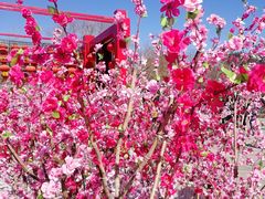 -香山公园-东宫门售票处