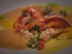 布列塔尼蓝龙虾-福楼法餐厅FLO