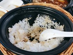 -谷田稻香(佛罗伦萨店)