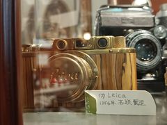 -露西亚咖啡西餐厅(哈尔滨俄侨纪念馆店)